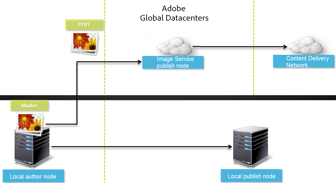 adobe dynamic media