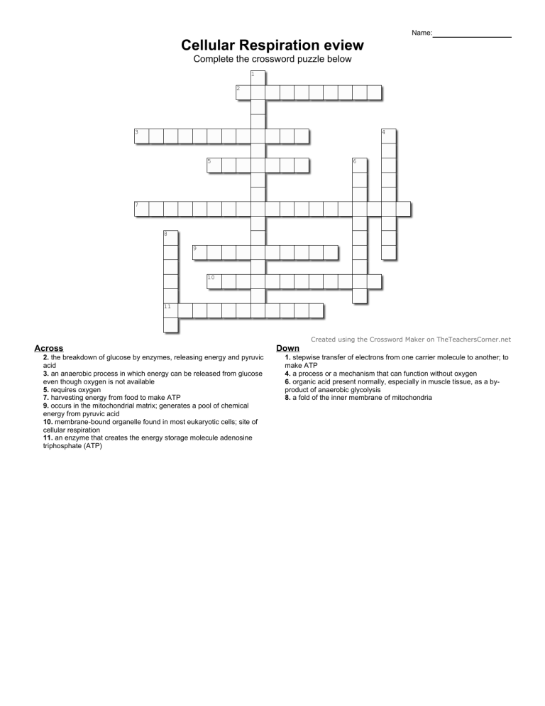 muscle of respiration crossword