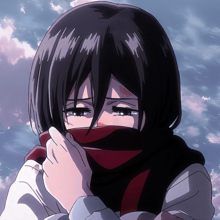 mikasa pfp