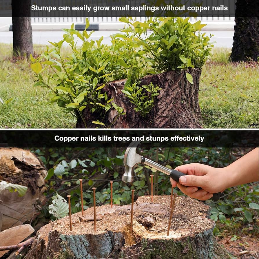 killing tree stumps copper nails