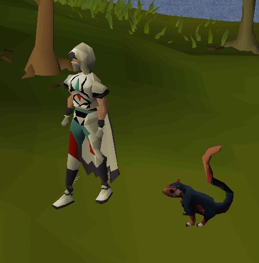 agility pet osrs