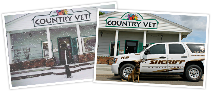 alexandria vet clinic mn