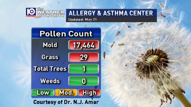 allergy count today