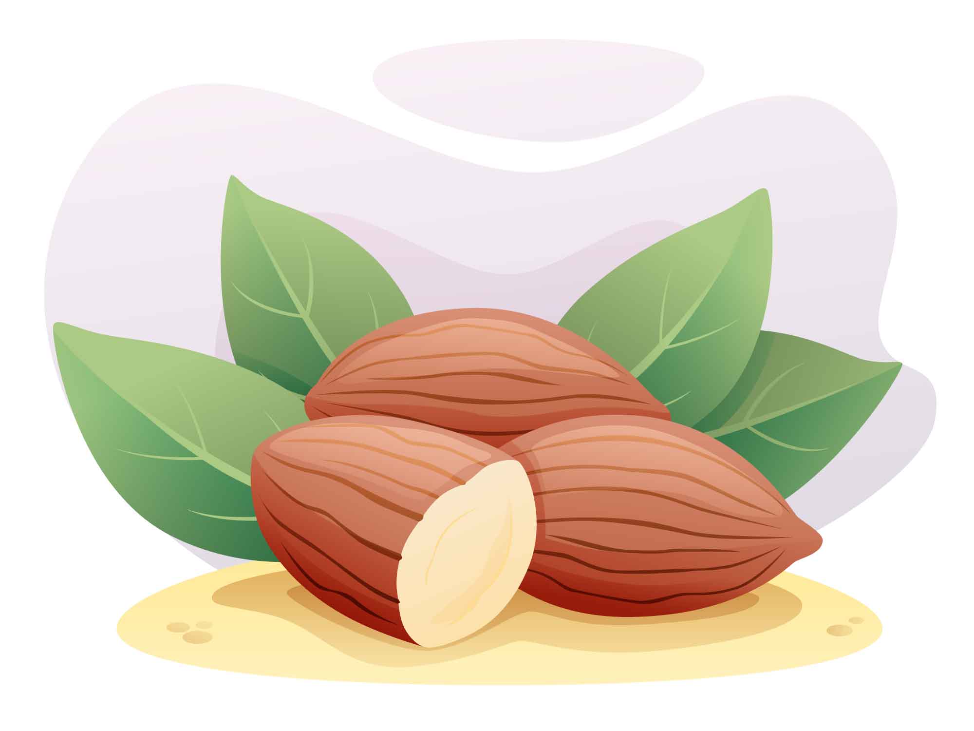 almond vector