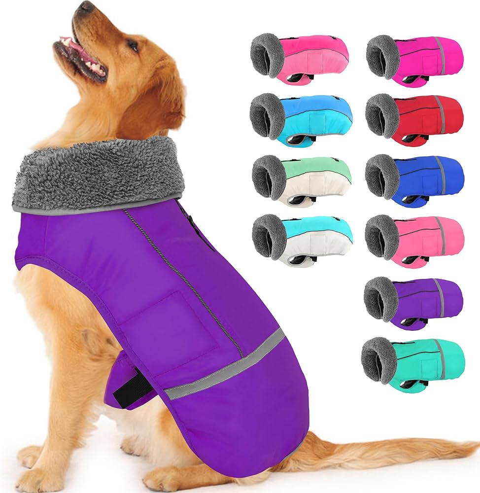 amazon dog coats