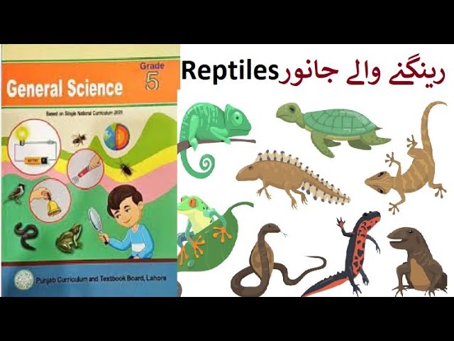 amphibians meaning in urdu