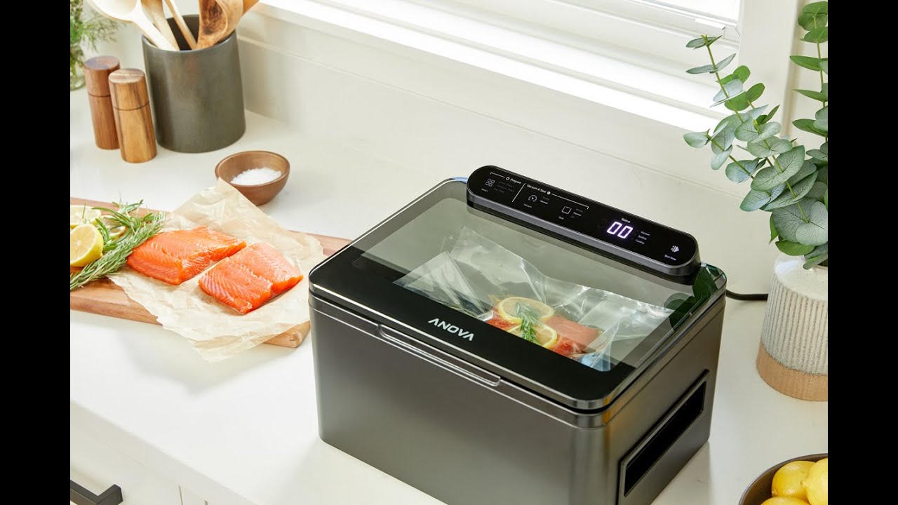 anova precision vacuum sealer