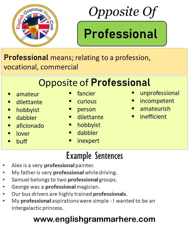 antonyms of professional