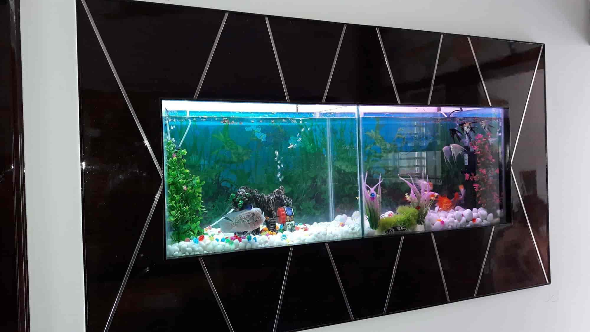 aquarium makers near me