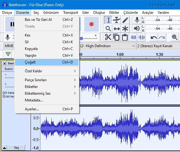 audacity ne demek