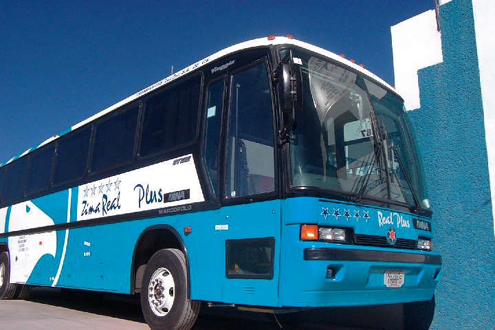 autobuses a matehuala san luis potosi