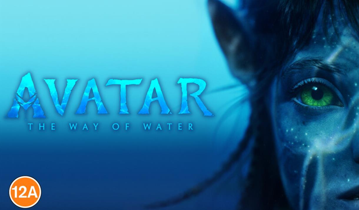 avatar 2 birmingham