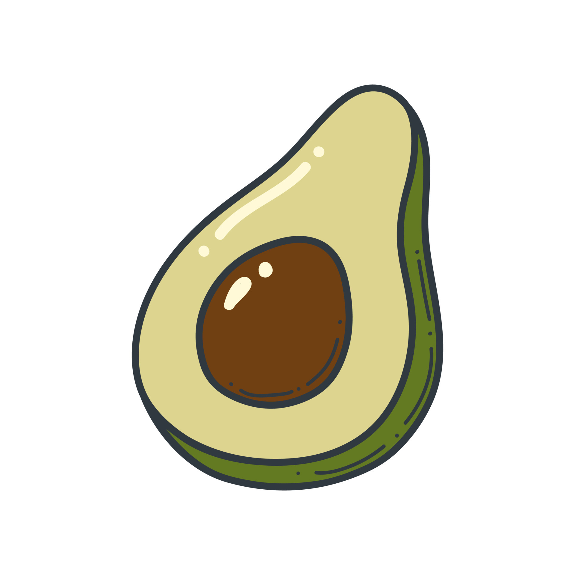 avocado doodle