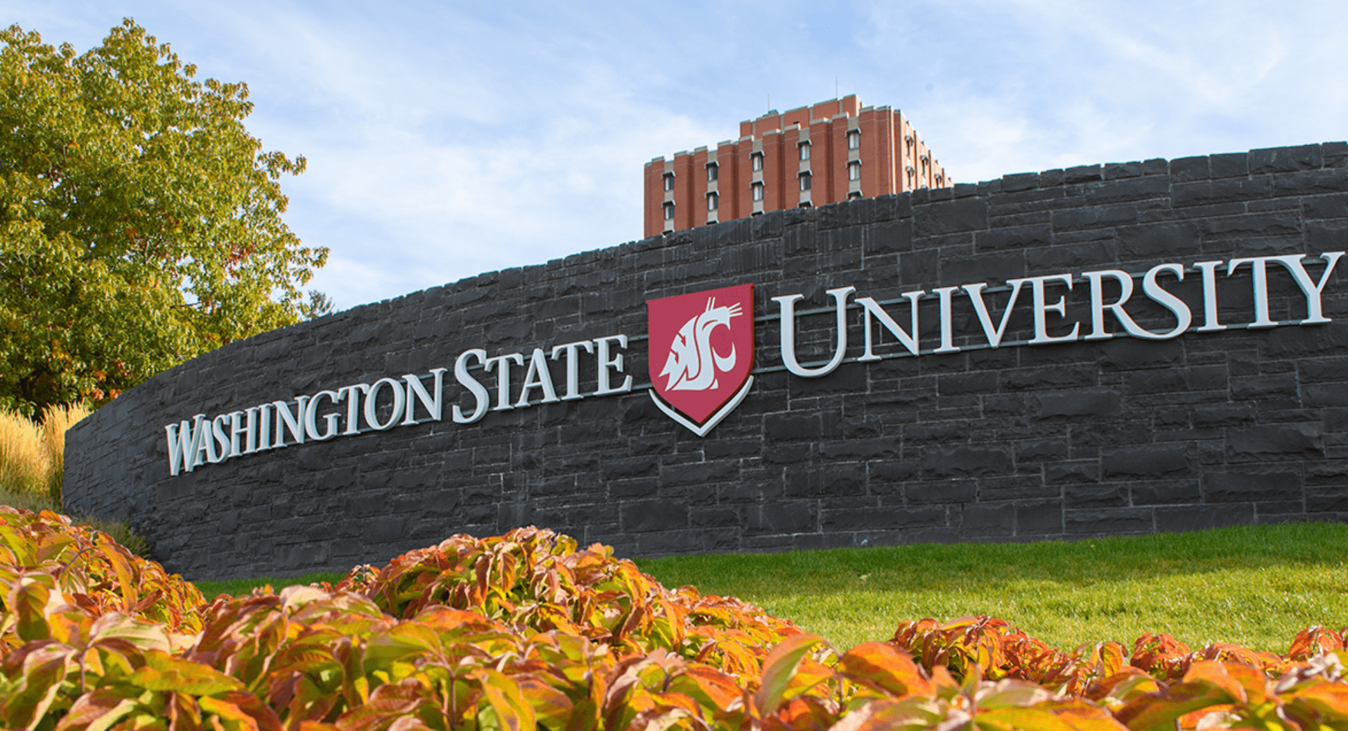 mywsu washington state university