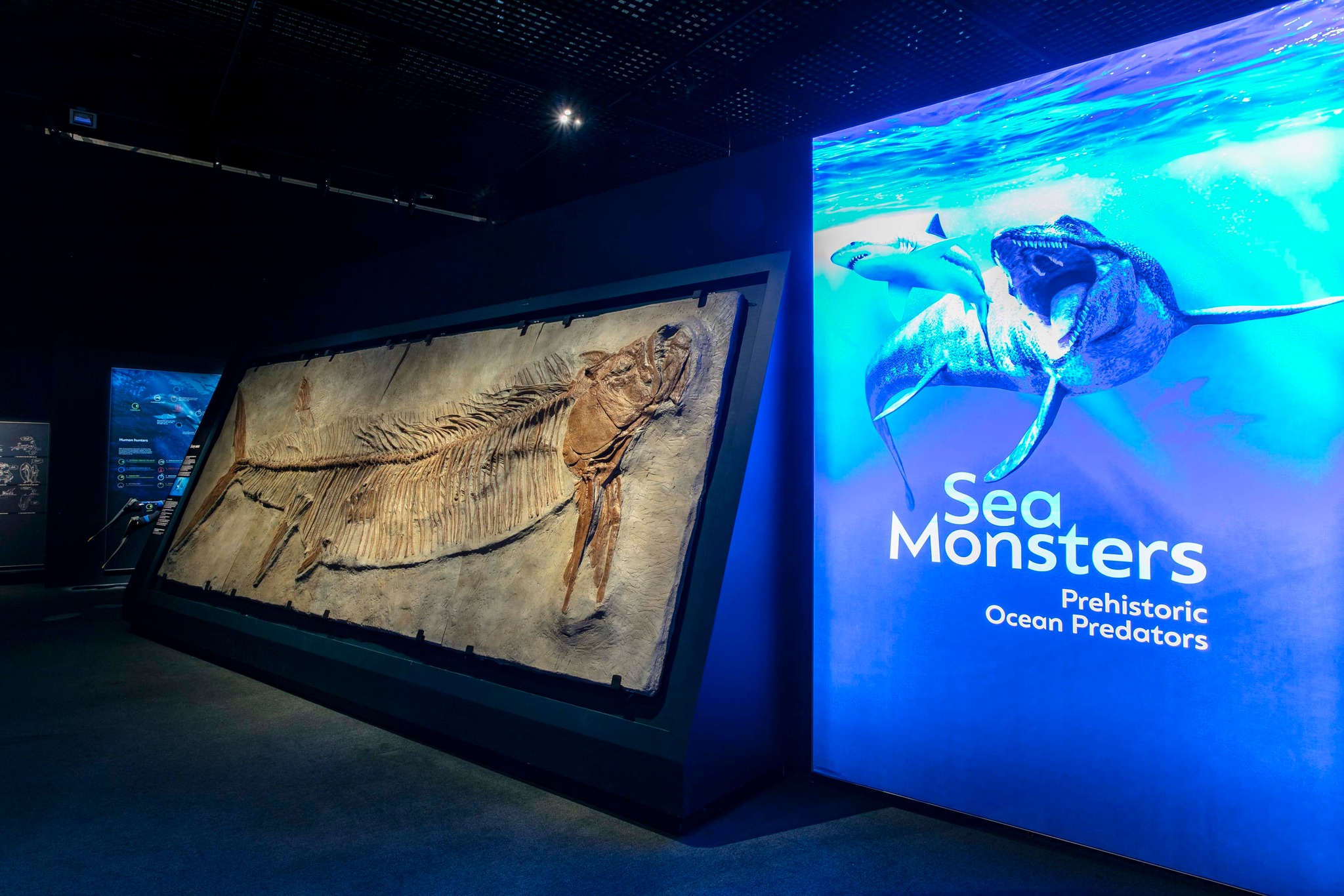 wa maritime museum sea monsters