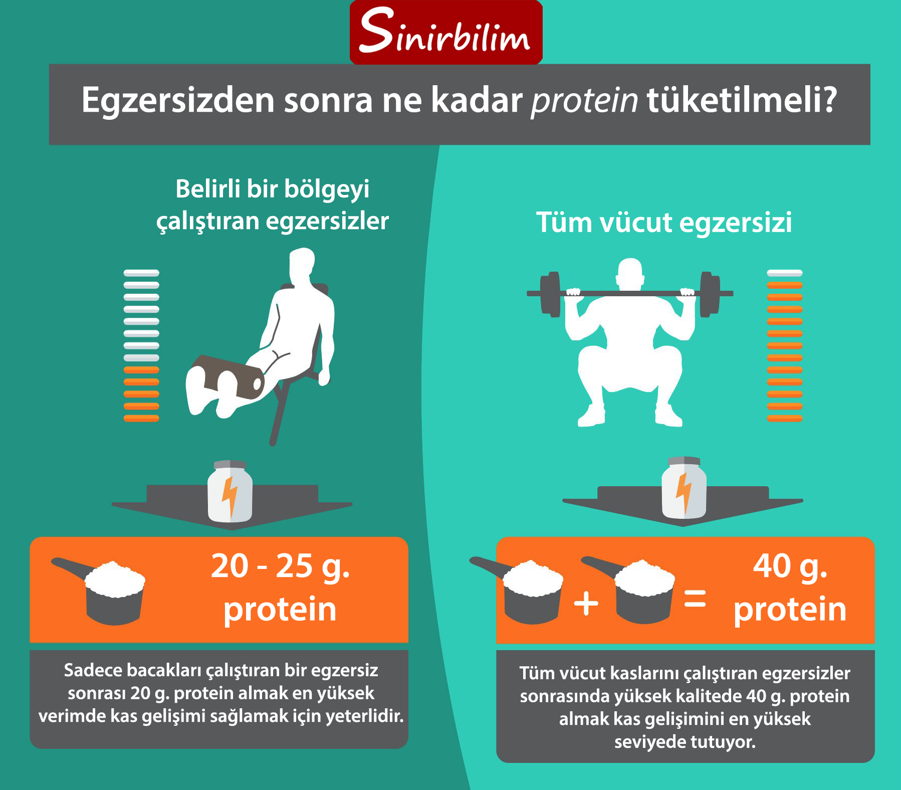 140 gram protein nasıl alınır
