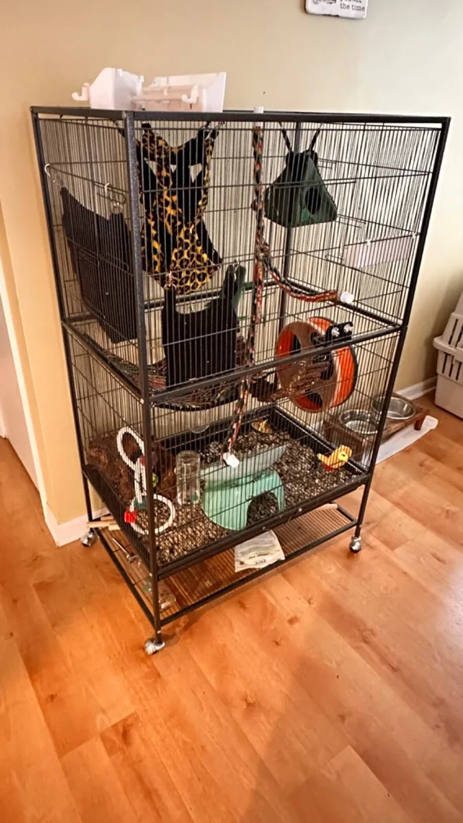 sugar glider cage