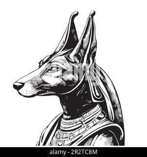 anubis boceto