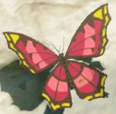 botw butterfly