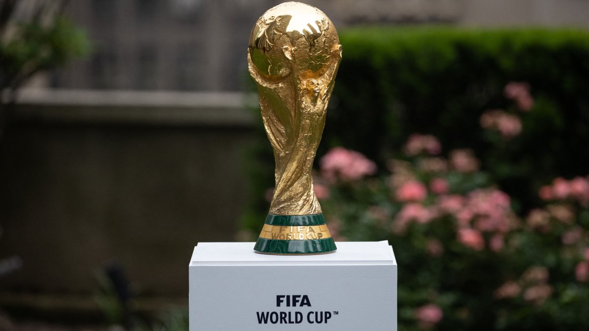 pic of world cup trophy