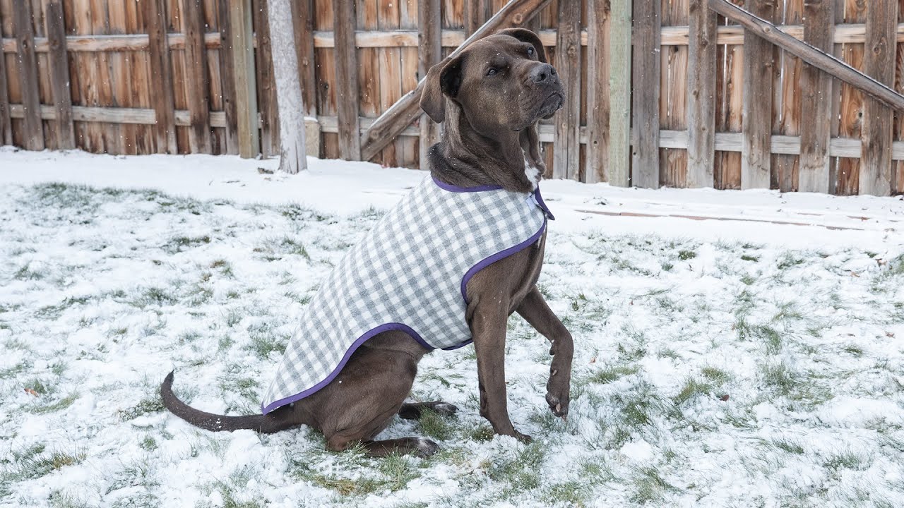 patterns for dog coats