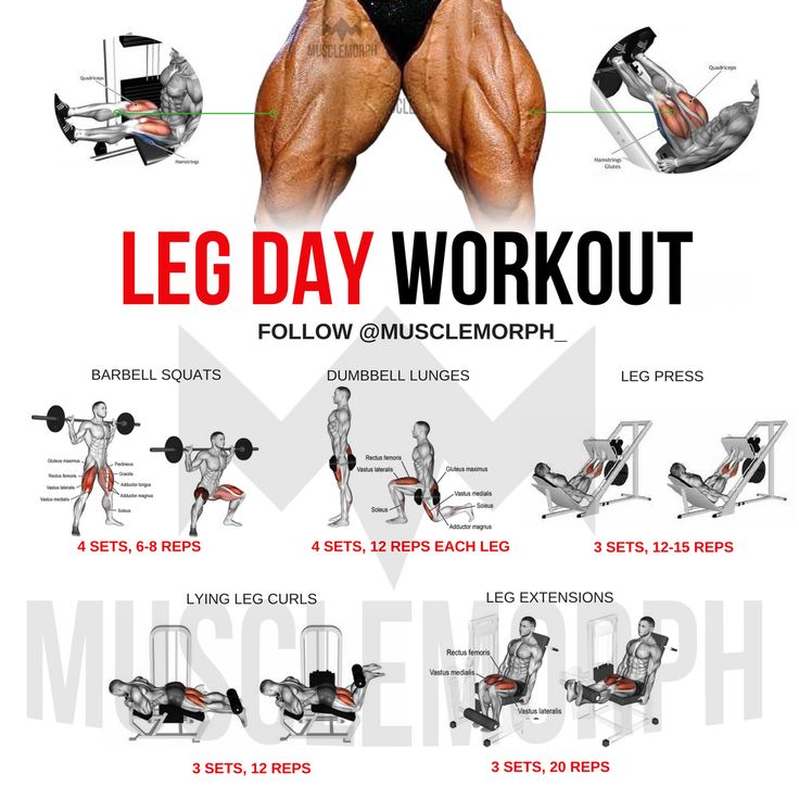 best leg exercises bodybuilding