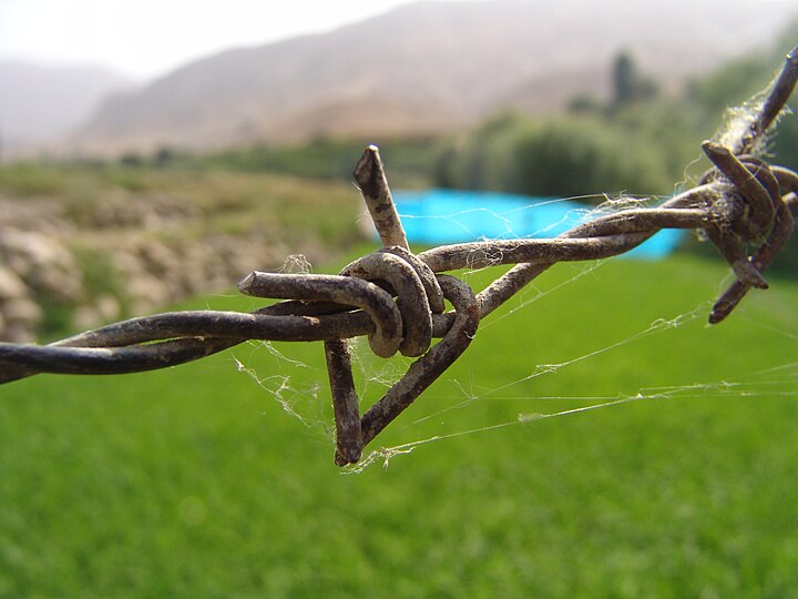 barbed meaning in bengali