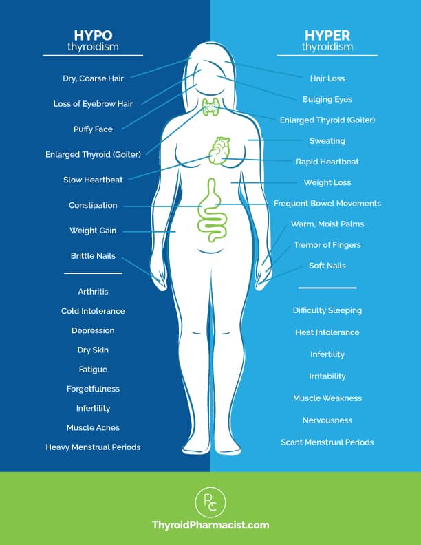 overmedicated thyroid