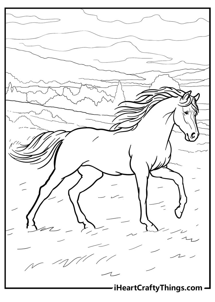 colouring pages of horses