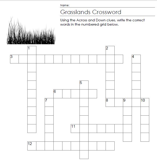 grassland crossword clue