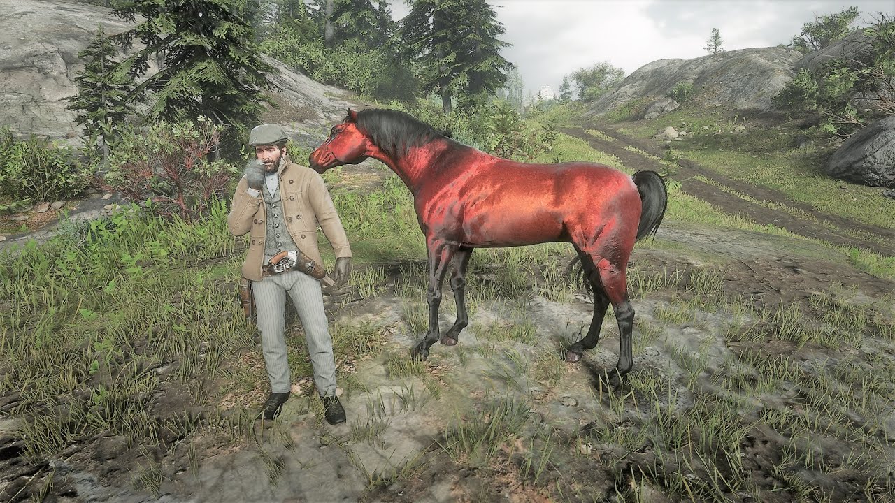 red arabian horse rdr2