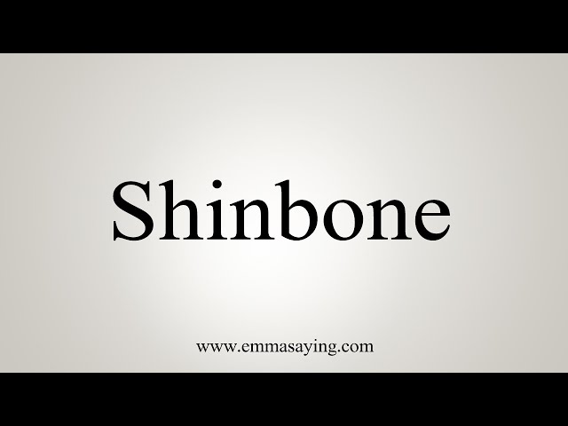 shinbone 5 letters