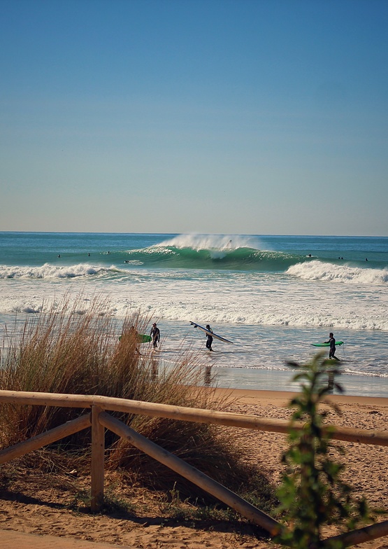 surf forecast el palmar