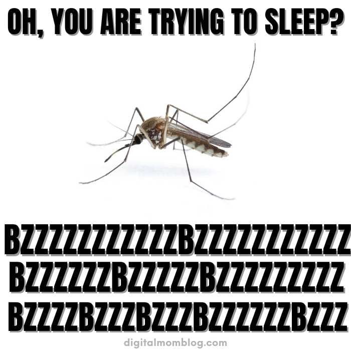 meme mosquito