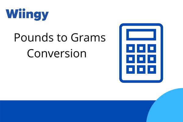 pound to grams