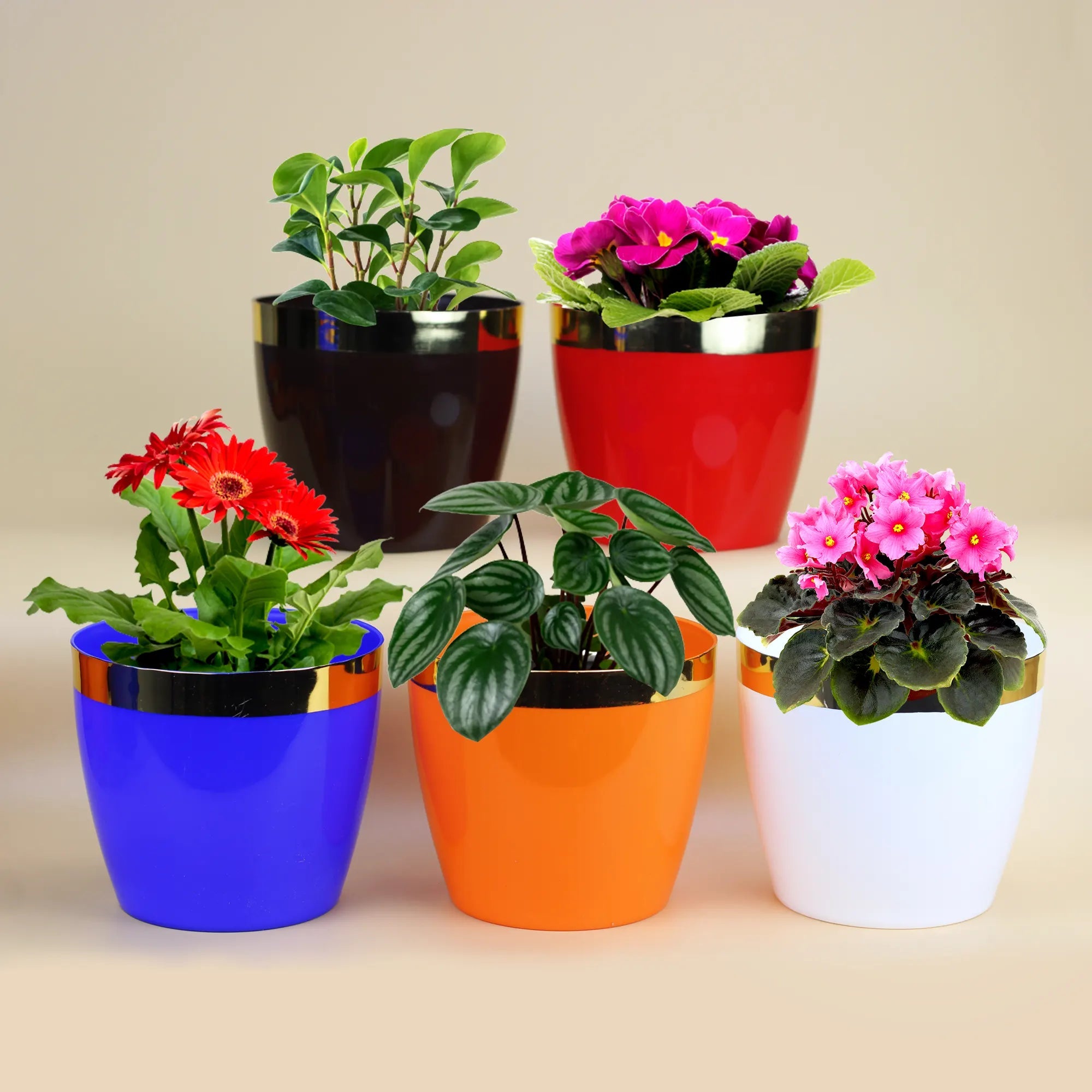 small plant pots plastic