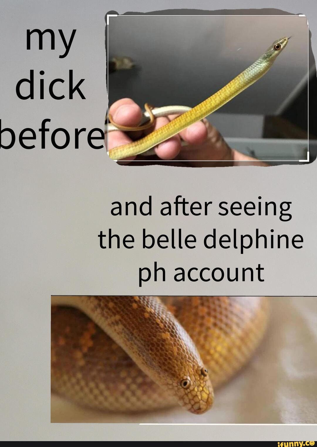 belle delphine ph