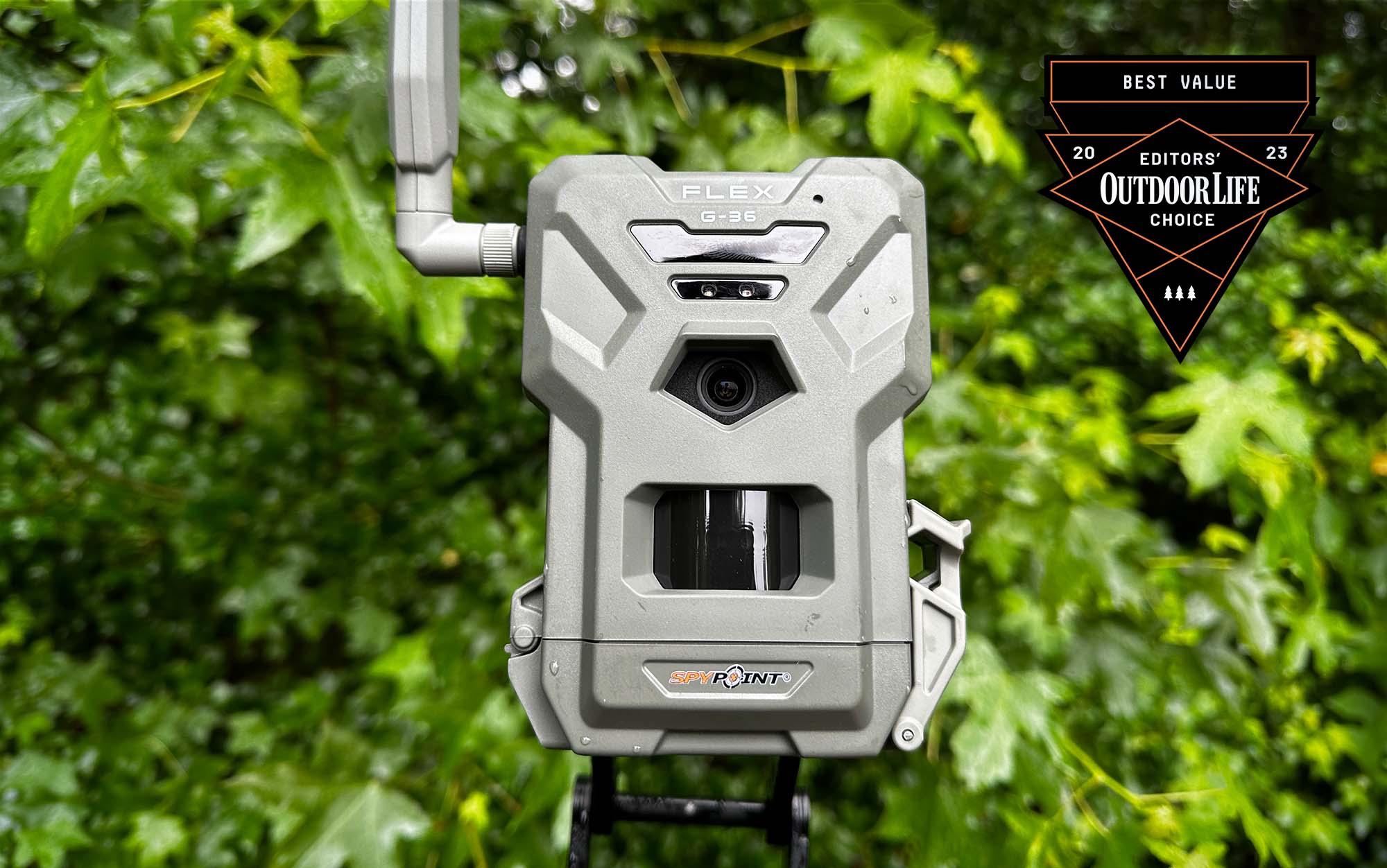 best budget trail camera uk