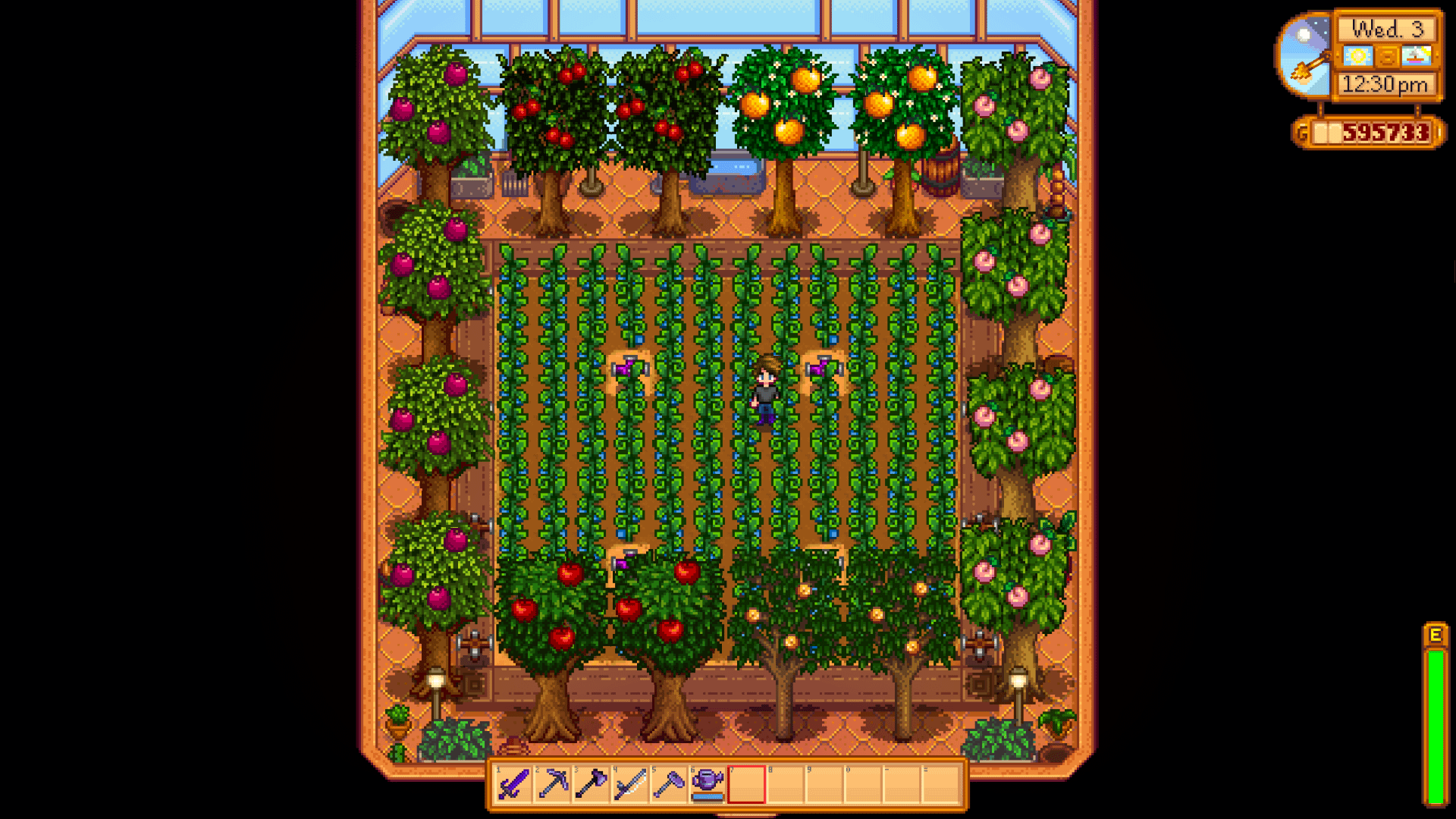 best greenhouse layout stardew