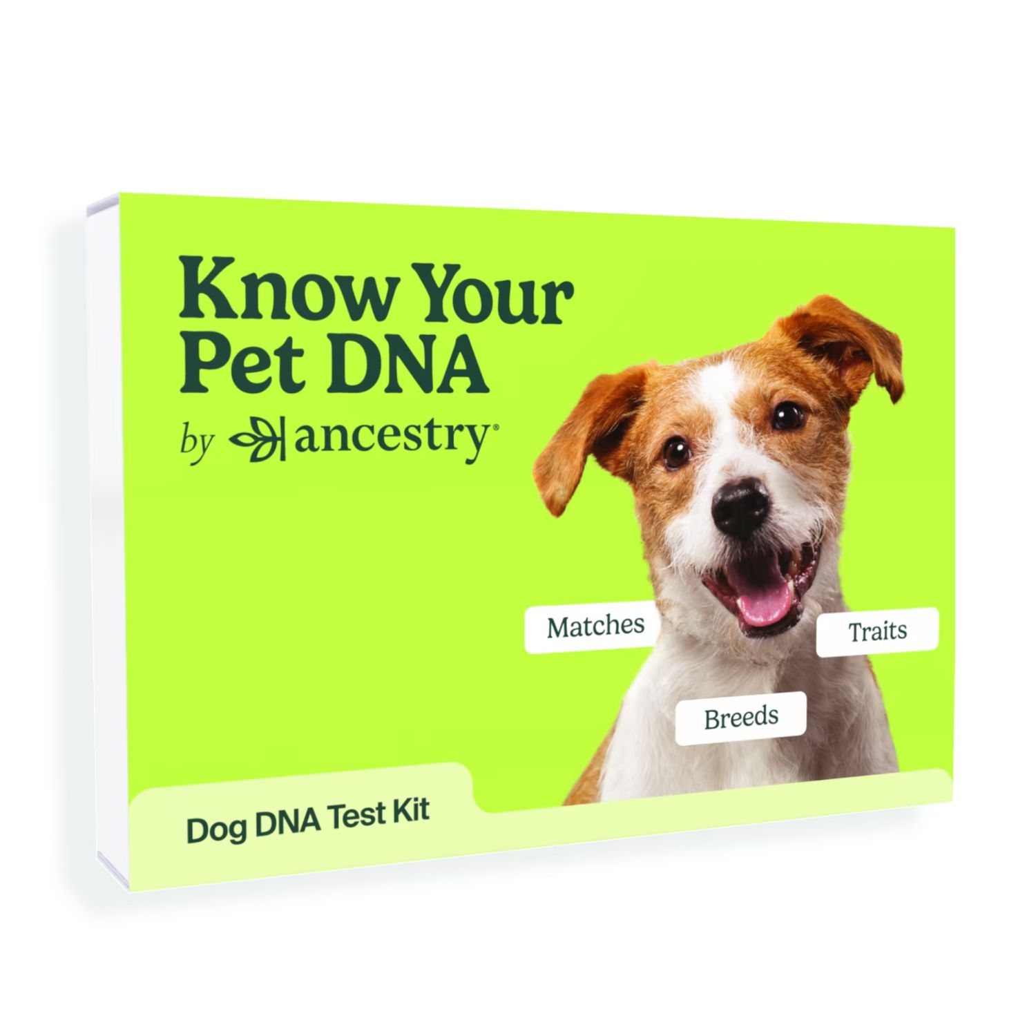 best puppy dna test