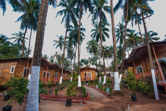 best resorts in arambol goa