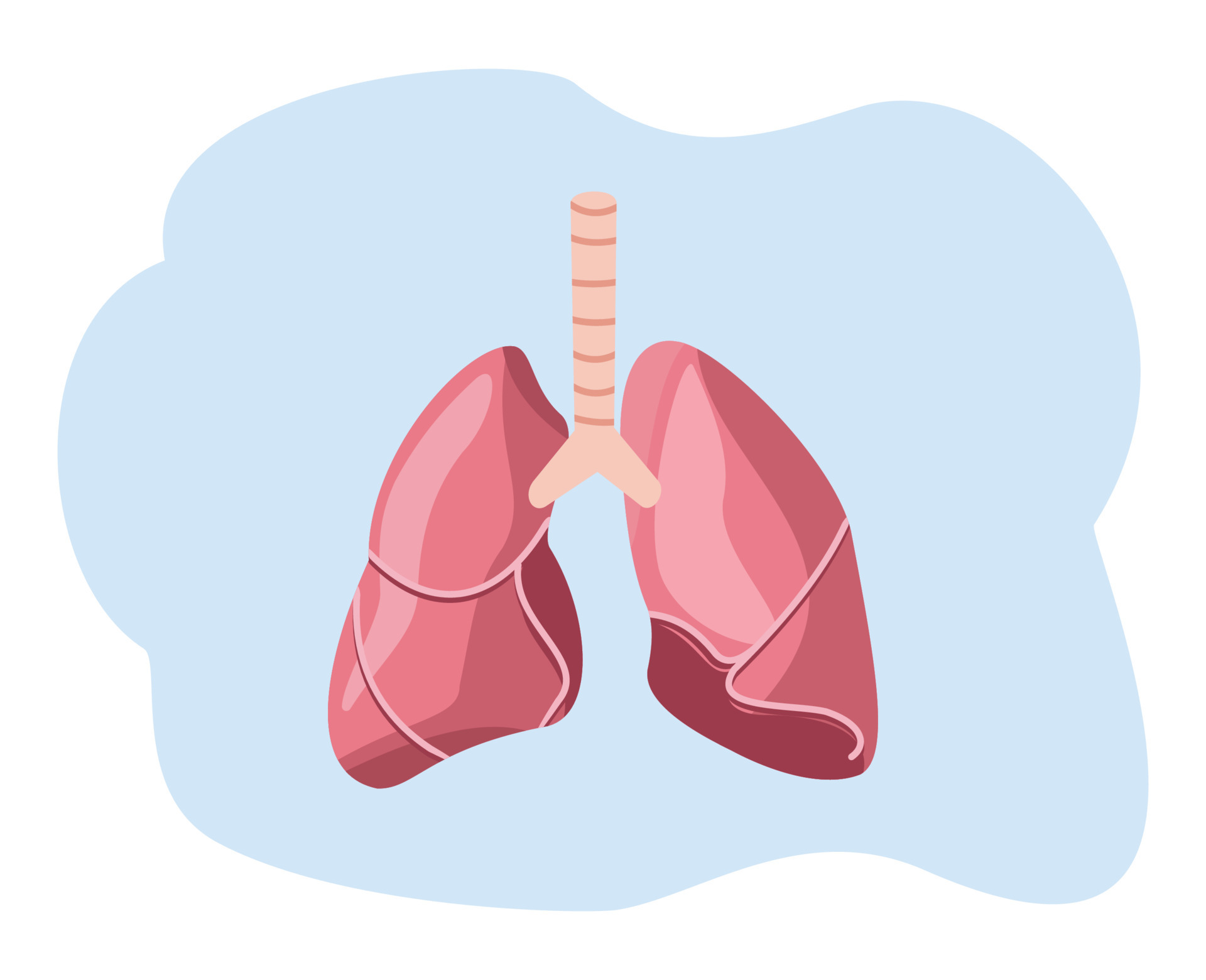 lungs cartoon