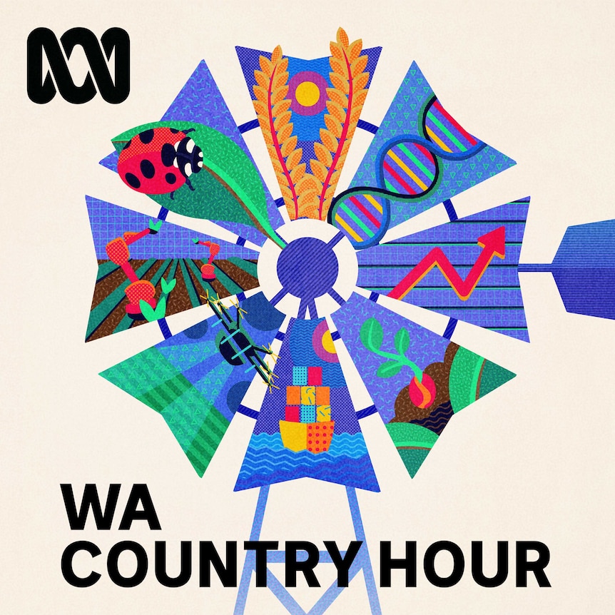 abc country hour listen live