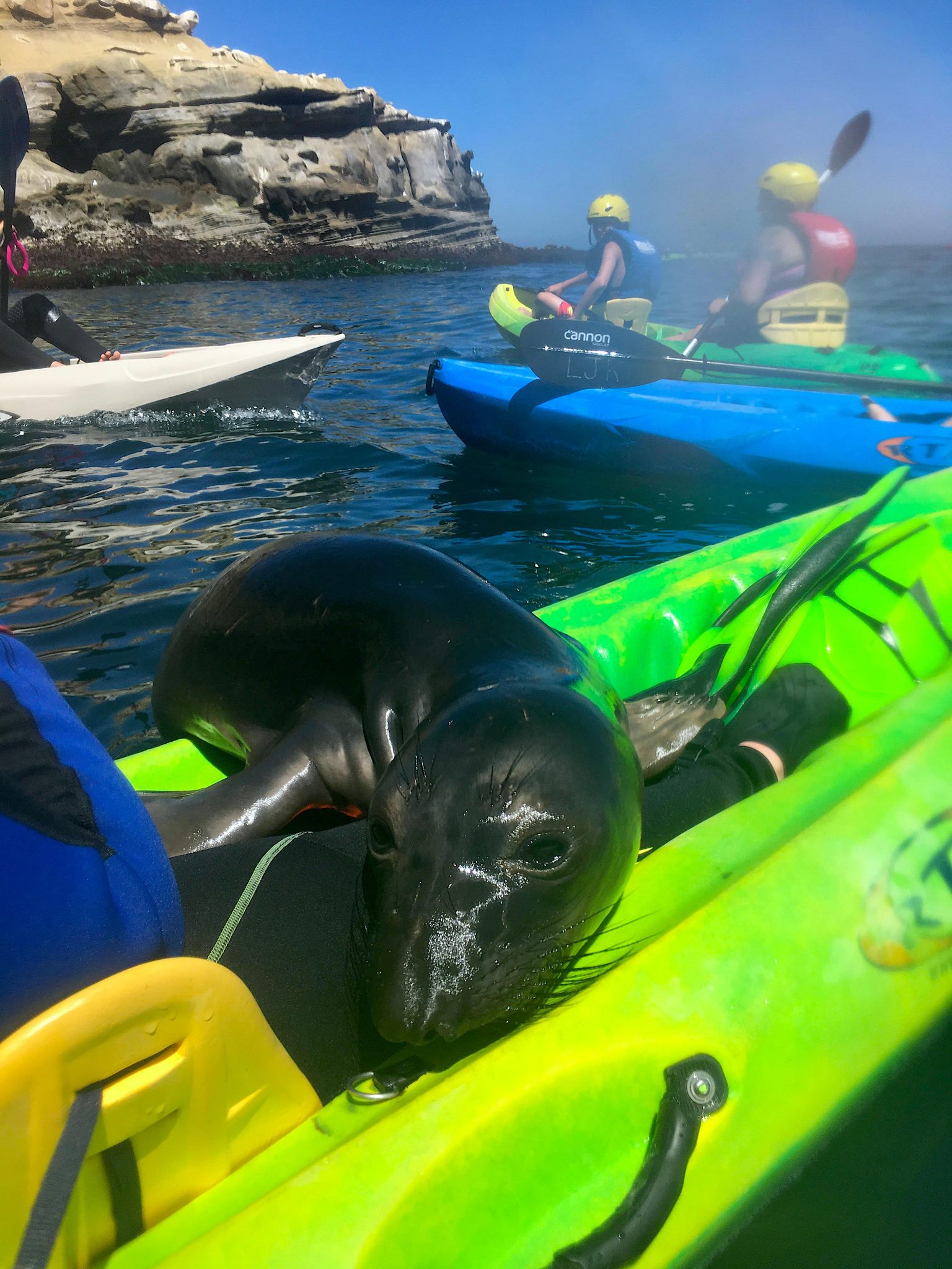 bike and kayak tours san diego