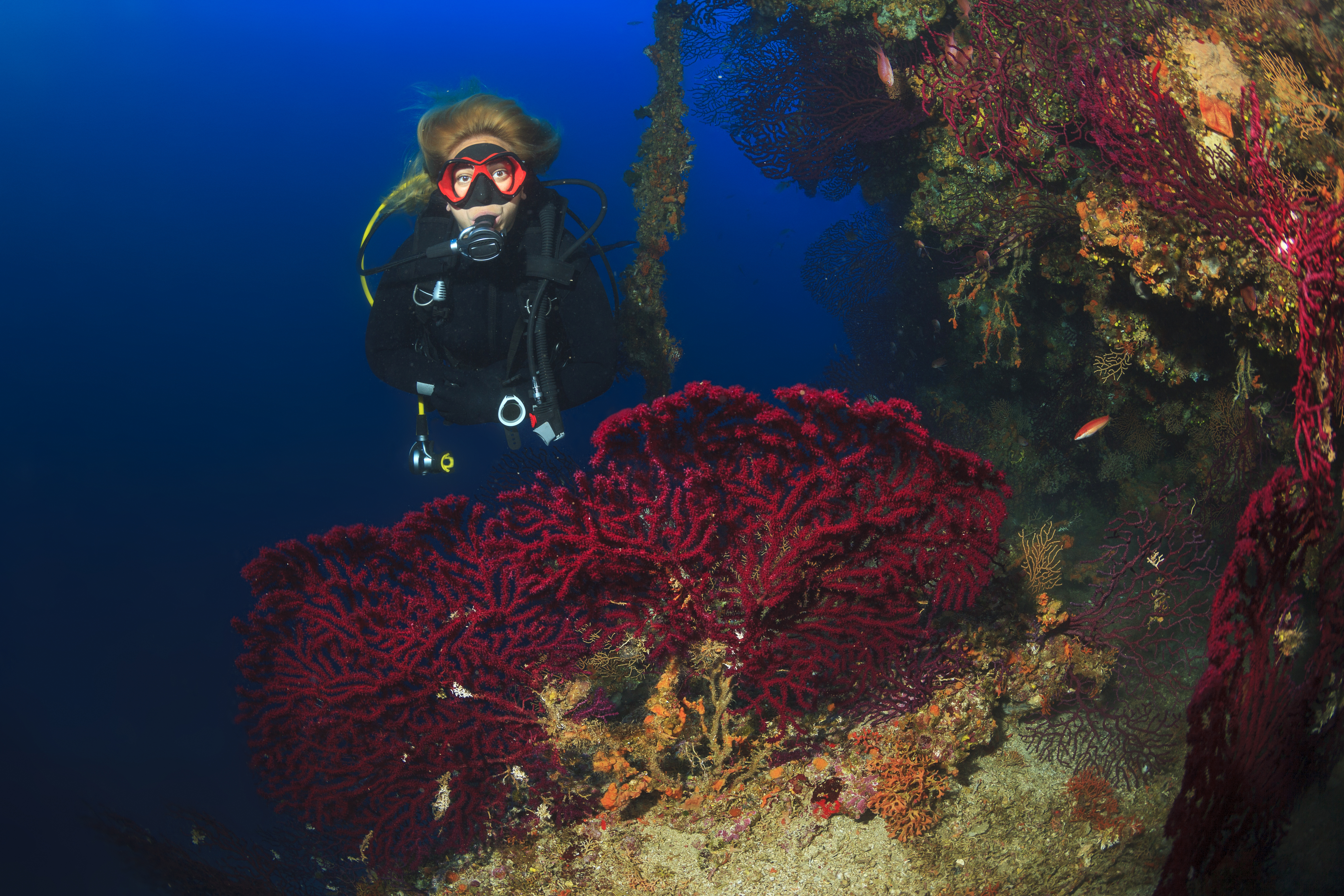 biotic factors for coral reefs