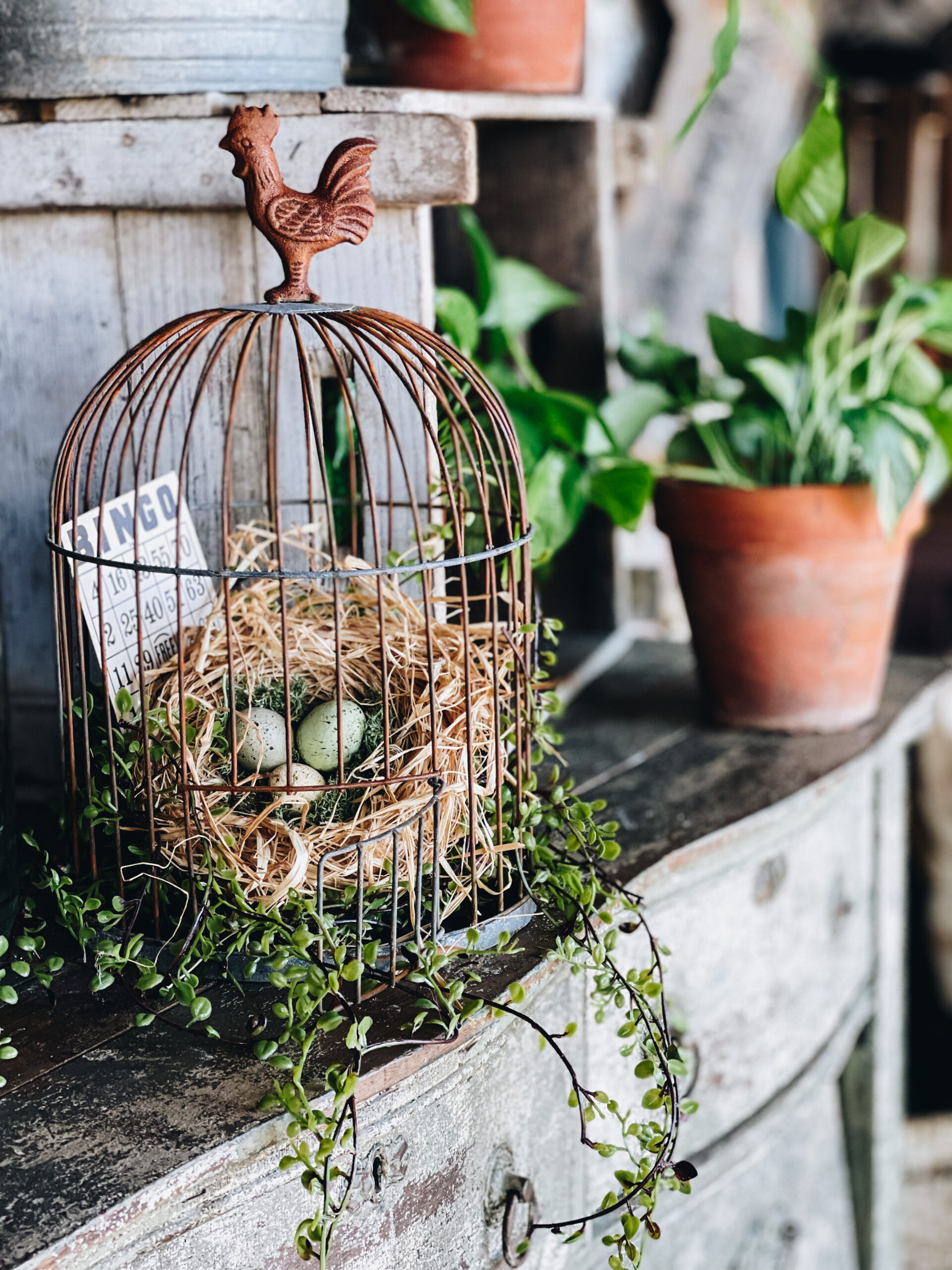 bird cage decor