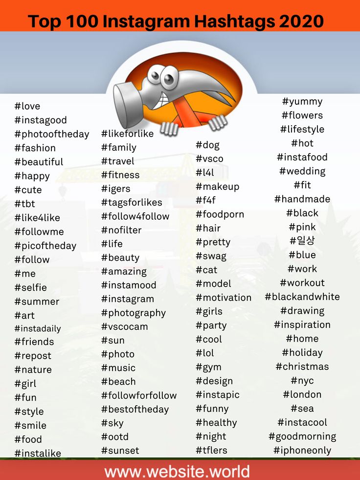 bird hashtags for instagram