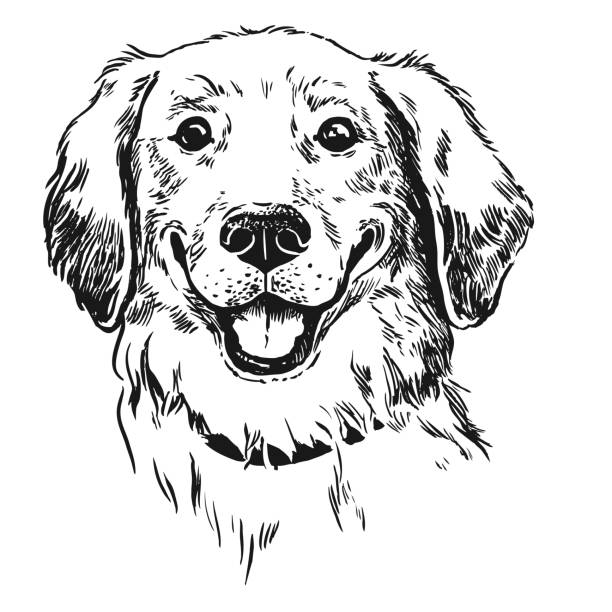 black and white dog clip art