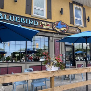 bluebird café & grill photos
