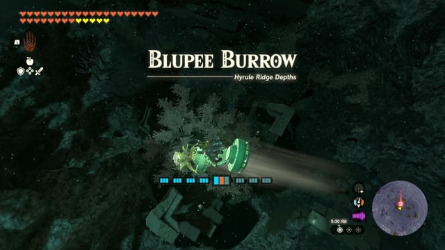 blupee burrow totk